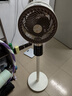 創(chuàng  )維【全屋驅蚊】空氣循環(huán)扇家用電風(fēng)扇落地扇2025新款大風(fēng)量語(yǔ)音遙控輕音節能臥室小風(fēng)扇Q522 白咖色 曬單實(shí)拍圖