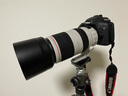 佳能（Canon） 全畫幅單反打鳥超遠(yuǎn)攝變焦鏡頭EF100-400mm f/4.5-5.6L IS II USM適用1DX3 1DX2 5D4 5D3 6D2 90D 搭配樂攝族MC UV+CPL偏振 曬單實(shí)拍圖