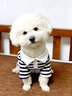 嬉皮狗（hipidog）寵物狗狗條紋圓領(lǐng)紐扣T恤防掉毛衣服比熊泰迪博美小型幼犬春夏季 雷奧黑 M（建議體重5-8斤） 曬單實(shí)拍圖
