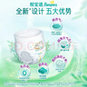 幫寶適（Pampers）綠幫 拉拉褲 加加大碼XXL90片 曬單實拍圖