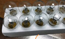歐司朗（OSRAM）鹵素燈 T10示寬燈示廓燈日行燈指示燈T20/P21W轉向燈剎車(chē)燈泡 R5W 10支裝 曬單實(shí)拍圖