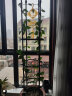 家用园艺爬藤花支架植物爬藤架月季铁线莲攀爬组合花架阳台花支架 支架直径25高120一套 实拍图
