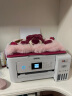 爱普生迪士尼草莓熊系列毛绒绒收纳盖板萌袋L4266打印机套装 实拍图