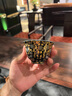 億殿園茶具套裝鎏銀茶壺銀壺套裝家用高端功夫茶具禮盒裝高檔婚慶隨手禮 銀壺套組 1個 曬單實拍圖