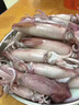大海有禮漳州市東山縣小管魷魚墨魚仔海兔子彈管筆管魚火鍋燒烤海鮮食材 東山小管【無冰衣凈重300g*3盒】 曬單實拍圖