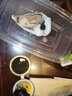 樂(lè )食港【活鮮】 Gillardeau吉娜朵 法國鮮活生蠔刺身牡蠣吉拉多 N1（120-135g/只）12只 曬單實(shí)拍圖