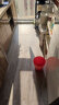 LX HAUSYS韩国进口地板石塑LG木纹PVC地板贴水泥地直铺2mm加厚耐磨家用办公 01浅灰橡木纹【环保胶贴铺装】 平米 实拍图