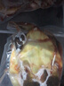 品鮮肴【活鮮】外湖野養(yǎng)生態(tài)大甲魚老鱉王八團(tuán)魚中華鱉公鱉鮮活海鮮水產(chǎn) 外湖野養(yǎng)公鱉2.2斤/只 曬單實拍圖