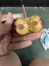 素味清歡四川汶川脆紅李當季現摘脫骨李子青紅脆李酸甜孕婦新鮮水果禮盒裝 5斤特級果禮盒裝【店主力薦】 曬單實(shí)拍圖