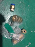 球閥氣泵閥門放氣閥開(kāi)關(guān)配件直通氣管快速快插氣動(dòng)接頭空壓機(jī)4分 球閥2分內(nèi)絲+單頭快插10mm接頭 曬單實(shí)拍圖