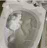 摩蘭潔（MOLANJIE）浴室馬桶清潔云朵馬桶泡泡慕斯衛(wèi)生間浴室清潔劑強(qiáng)力去污除垢神器 450ml 1瓶 馬桶一噴凈1瓶【體驗(yàn)裝】 曬單實(shí)拍圖
