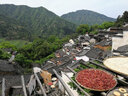 江西上饒婺源篁嶺門票＋上下行索道（提前一天預(yù)訂 免取票 刷身份證入園） 一日票 提前一天前可定 成人票 曬單實(shí)拍圖