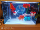D&ASTUDIO小型魚缸靜音增氧泵家用養(yǎng)魚氧氣泵充氧泵打氧機(jī)水族箱增氧設(shè)備 單孔氣泵（2米氣管+氣泡盤+止水閥） 曬單實(shí)拍圖