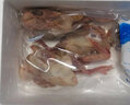 芮瑞 鴿子肉 新鮮宰殺乳鴿 3只裝 燒烤食材 殺后300g/只 生鮮冷凍 曬單實拍圖