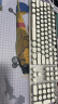 前行者（EWEADN）TK100朋克机械键盘鼠标套装电竞游戏有线台式电脑笔记本键鼠办公复古外设吃鸡 白色冰蓝光 实拍图