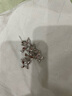 abyb charming逐影耳飾小眾蝴蝶耳墜閃鉆時(shí)尚百搭設(shè)計(jì)感耳環(huán)生日禮物送女友老婆 逐影（銀色） 曬單實(shí)拍圖