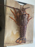 三蟹島 【活鮮】  超大龍蝦 澳龍 澳洲龍蝦特大鮮活進(jìn)口海捕龍蝦生鮮 澳龍 4斤-4.5斤/只 曬單實(shí)拍圖