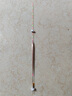 池海 黃金眼魚(yú)漂官方L-1009蘆葦浮漂高靈敏冬釣漂輕口漂 黃金眼 L-1009(晴天尾) 3號一支 曬單實(shí)拍圖