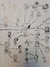 預(yù)售 花生漫畫角色指南 英文原版The Complete Peanuts Family Album 史努比 曬單實(shí)拍圖