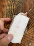 桃李旺新鮮牛胸口油 切片胸口朥牛肉脆口牛胸口肉潮汕牛肉火鍋燒烤食材 【2斤】牛胸口油 曬單實拍圖