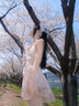 億梵莎（YIFANSHA）法式蝴蝶結(jié)碎花連衣裙夏天女2024年新款韓系氣質(zhì)甜美吊帶公主短裙 碎花裙 均碼 （可備注碼數(shù)） 曬單實拍圖