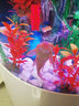 美之海魚(yú)缸客廳家用中大型歐式落地半圓柱形水族箱免換水生態(tài)金魚(yú)缸 白色 50x50x138cm 曬單實(shí)拍圖