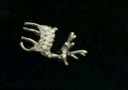 阿莉維妮（alivinee）s925銀雪花麋鹿不對(duì)稱耳釘 森系簡(jiǎn)約小清新動(dòng)物可愛女萌鹿耳環(huán) 雪花麋鹿不對(duì)稱耳環(huán)_銀色 曬單實(shí)拍圖