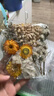 MPPMCK永生花diyA款干花材料壓花包相框團扇浮游瓶花幼兒園武漢真花裝飾 雛菊粉色袋裝/隨機花材1包 曬單實拍圖