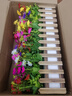 花藝赫 仿真花套裝小雛菊假花塑料花桌面墻角遮擋綠植盆栽擺件柵欄花工程隔斷擺放花藝 50厘米碳欄+尤加利混搭跳蘭菊套裝 曬單實(shí)拍圖