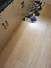圣象（Power Dekor） 圣象地板强化复合地板F4星环保环保耐磨家用建材地热地暖木地板 NF1101静谧生活 1平米/不安装/裸板 实拍图