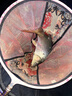 鯉魚苗活體淡水養(yǎng)殖魚苗批發(fā)附近本地特大建鯉稻花鯉魚紅尾稻田鯉魚魚苗批發(fā) 10條10-13厘米特大鯉魚苗【包活到家】 曬單實拍圖