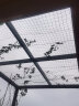 珠穆峰铁丝网围栏网钢丝铁网子护栏网荷兰网养鸡网养殖网栅栏围墙防护网 2.0毫米1.5高*3CM孔18米16斤加重 实拍图