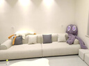 彌科優(yōu)（Mikeyou）科技布沙發(fā)法式風沙發(fā)家用客廳沙發(fā)小戶型沙發(fā)防貓抓軟包靠背沙發(fā) 2.2米大三位 貓爪布+海綿座包+乳膠 曬單實拍圖