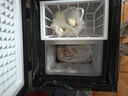 冰熊冰柜家用小型冰柜73L一級節能低噪展示柜冷凍冷藏柜食品保鮮小冰箱 73L 【加厚象牙白】 曬單實(shí)拍圖