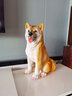 慧祥仿真柴犬落地?cái)[件花園庭院裝飾動(dòng)物擺件仿真八哥金毛狗狗模型擺件 柴犬（長24寬17高36厘米） 曬單實(shí)拍圖
