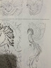 花見(jiàn)2 山海經(jīng)黑白唯美線(xiàn)稿插畫(huà)教程（數藝設出品） 曬單實(shí)拍圖