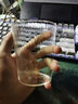 雅派高硼硅耐高溫玻璃豎紋咖啡杯奶茶家用早餐牛奶杯 錐形條紋玻璃杯250ml 曬單實(shí)拍圖