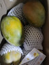 【果農直供】四川攀枝花凱特芒果整箱當季新鮮水果特大果 9斤裝稀缺果王（單果600克以上） 曬單實(shí)拍圖