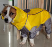 唐寵 狗狗雨衣大型犬全包四腳中小型犬雨衣舒適透氣寵物雨衣柯基泰迪柴犬防水雨披金毛薩摩狗狗衣服 黃色 20#（建議19-28斤） 曬單實(shí)拍圖