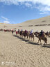 【8人純玩小團(tuán)】青海旅游青甘大環(huán)線7天6晚跟團(tuán)游/沙漠大禮包/敦煌莫高窟/青海湖/茶卡鹽湖 青甘環(huán)線7天6晚 成人 曬單實(shí)拍圖
