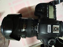 佳能 Canon 5d4 6d 5d3 5d2 5dsr 6d2 二手單反相機(jī) 全畫幅 5D3+24-105mm f4L IS套機(jī) 9成新 曬單實(shí)拍圖