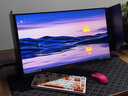 卓威同款面板240Hz 全新FPS游戲專(zhuān)用,600Hz高刷顯示器,CSGO、CF專(zhuān)用屏 24.1寸500Hz-2586X同款面板 送遮光板 官方標配底座 曬單實(shí)拍圖