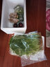 密之藍(lán)天現(xiàn)摘現(xiàn)發(fā) 新鮮茴香菜500g 蔬菜生鮮小茴香葉菜類(lèi)輕食餃子餡原料 500g 曬單實(shí)拍圖