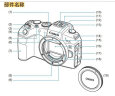 佳能（Canon）EOS RP 全画幅微单数码相机 24-105标准镜头套装 （约2620万像素/轻巧便携） 实拍图