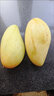 海南金煌芒9斤芒果熱帶水果現(xiàn)摘甜心黃皮水仙芒整箱 5斤品質(zhì)裝【單果300g+】 曬單實拍圖