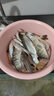 中逵名古屋5代輕量大物鰱鳙釣魚竿9/10米翹嘴青魚專用傳統(tǒng)長竿臺釣竿 8m 【鰱鳙 翹嘴 青魚 輕量大物竿 】5H 曬單實拍圖