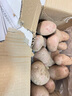 內(nèi)蒙古農(nóng)特產(chǎn)烏蘭察布2024年土豆馬鈴薯新鮮紅皮黃心土豆洋芋批發(fā) 紅皮黃心土豆凈重9斤 曬單實(shí)拍圖