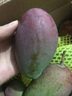 禧友鮮 海南貴妃芒果芒果新鮮水果當季熱帶紅金龍包甜玉青煌芒海南水果 凈重5斤|單果150g+(大果) 曬單實拍圖