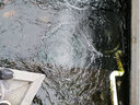 HAILI氧氣泵 魚(yú)池增氧泵 戶(hù)外大功率家用大氣量魚(yú)缸增氧機打氧機 HAP-120  90W 單氣泵 曬單實(shí)拍圖