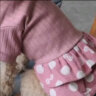 迪普尔 宠物衣服保暖泰迪比熊中小型犬勇敢熊绒衣冬季狗狗用品 笑脸圆点裙-粉色XL（适合8-12斤） * 实拍图